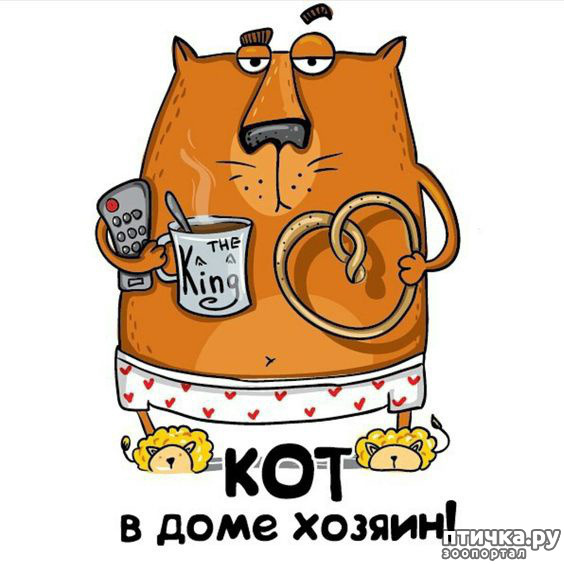  1:   ...