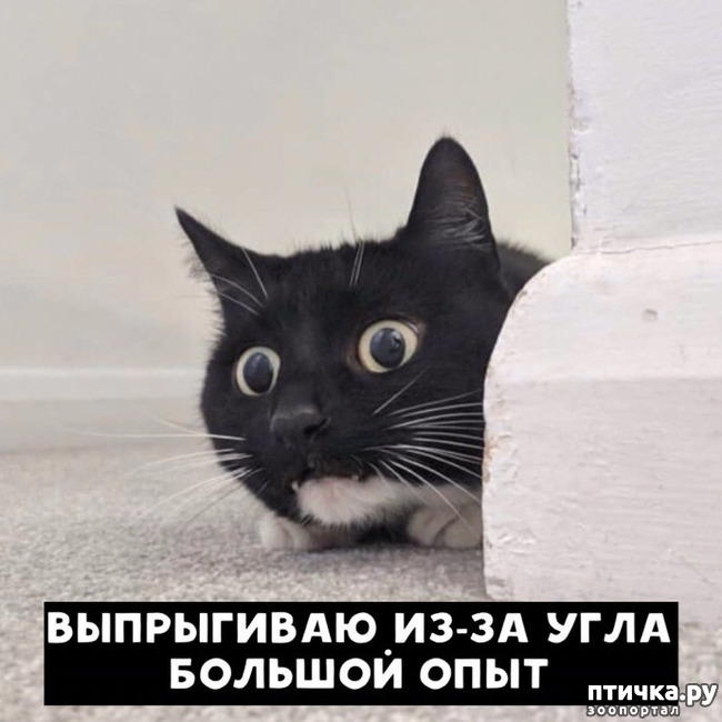  10:   ...