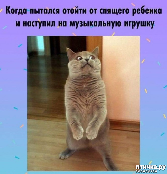  2: ?