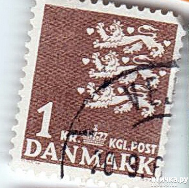  7:  