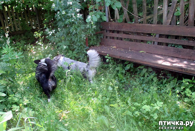 ���� 1: ��������� ����. �������, ����.