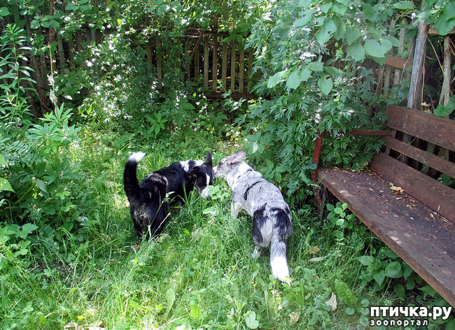 ���� 2: ��������� ����. �������, ����.