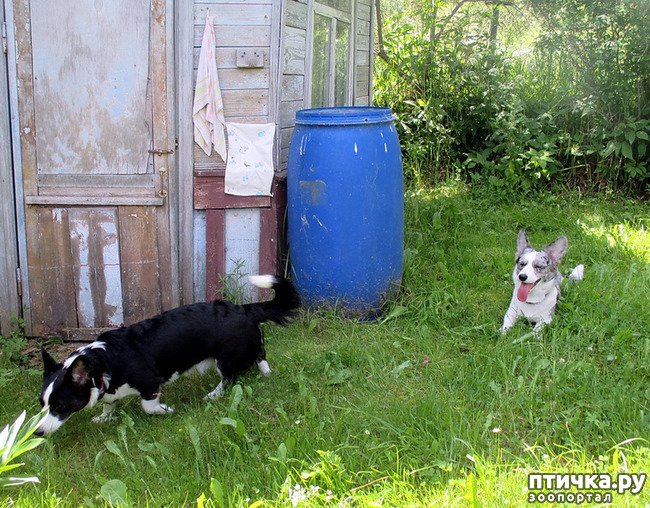 ���� 3: ��������� ����. �������, ����.