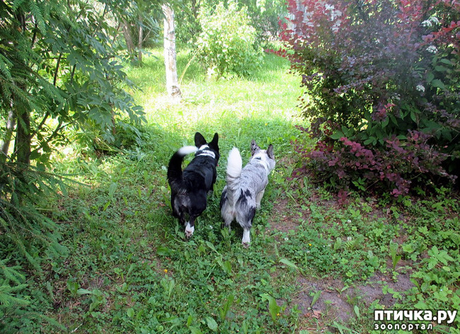 ���� 4: ��������� ����. �������, ����.