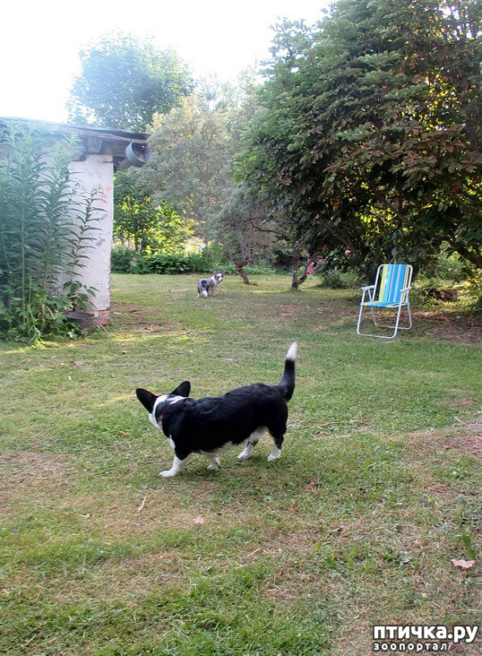 ���� 5: ��������� ����. �������, ����.