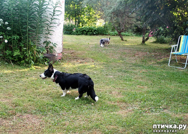 ���� 6: ��������� ����. �������, ����.