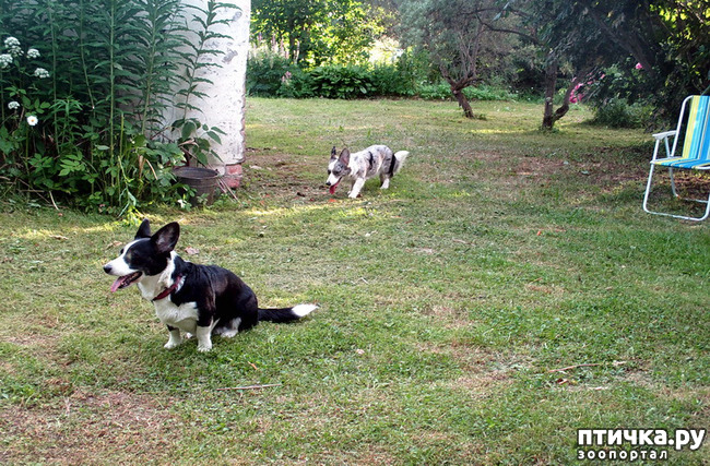 ���� 7: ��������� ����. �������, ����.