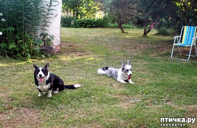 ���� 8: ��������� ����. �������, ����.