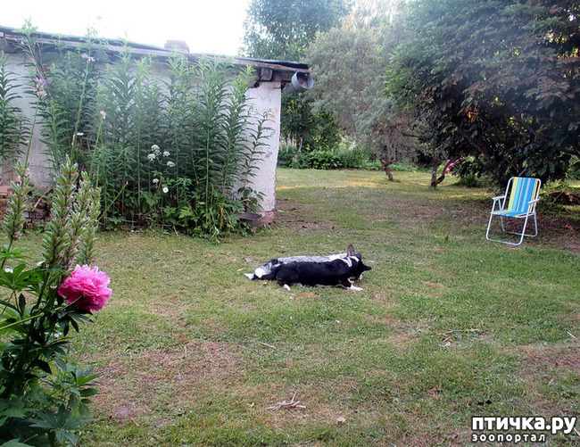 ���� 9: ��������� ����. �������, ����.