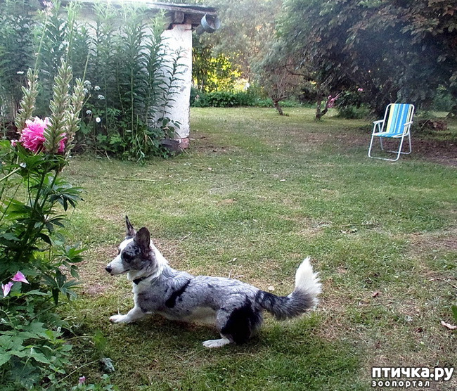 ���� 34: ��������� ����. �������, ����.