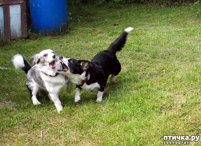 ���� 12: ��������� ����. �������, ����.