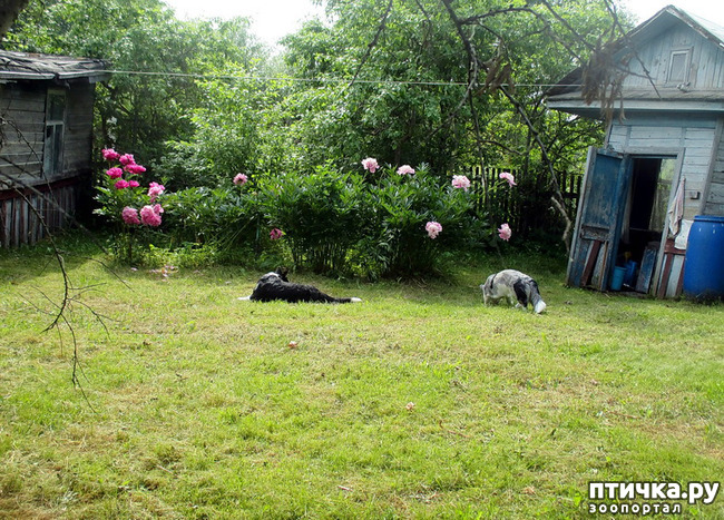 ���� 13: ��������� ����. �������, ����.