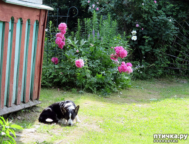 ���� 41: ��������� ����. �������, ����.