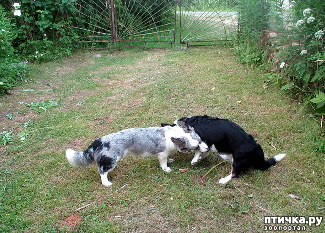 ���� 10: ��������� ����. �������, ����.