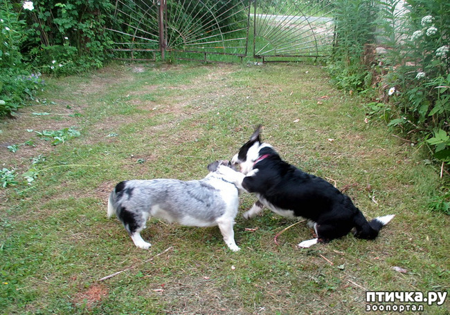 ���� 11: ��������� ����. �������, ����.