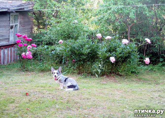 ���� 36: ��������� ����. �������, ����.