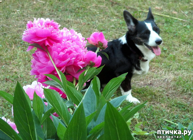 ���� 42: ��������� ����. �������, ����.