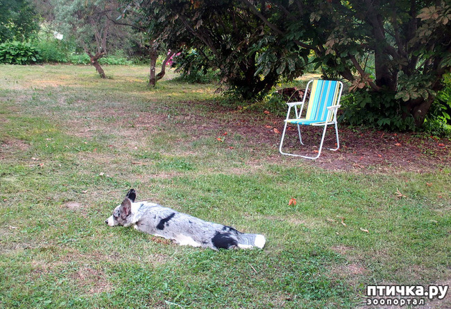 ���� 37: ��������� ����. �������, ����.