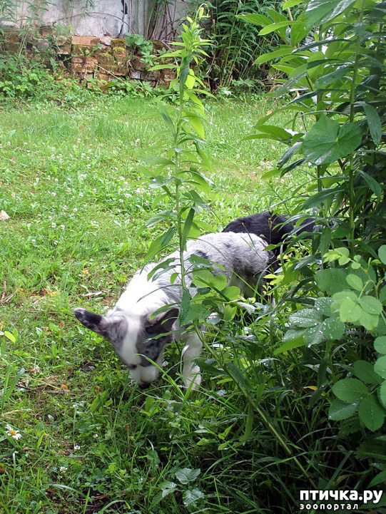 ���� 14: ��������� ����. �������, ����.