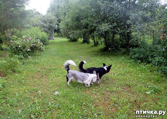 ���� 15: ��������� ����. �������, ����.