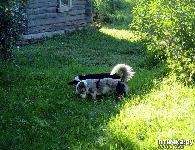 ���� 16: ��������� ����. �������, ����.