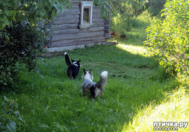 ���� 17: ��������� ����. �������, ����.