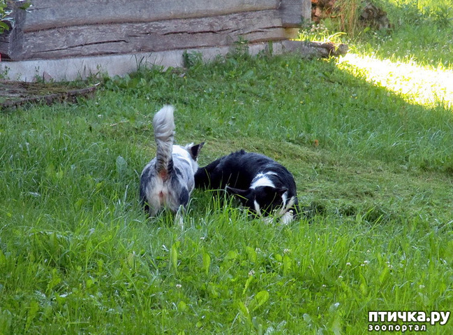 ���� 18: ��������� ����. �������, ����.