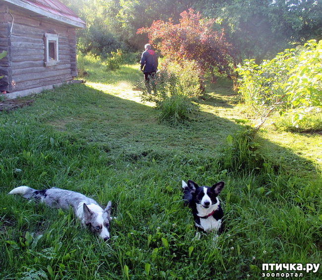 ���� 19: ��������� ����. �������, ����.