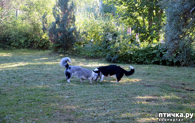 ���� 20: ��������� ����. �������, ����.