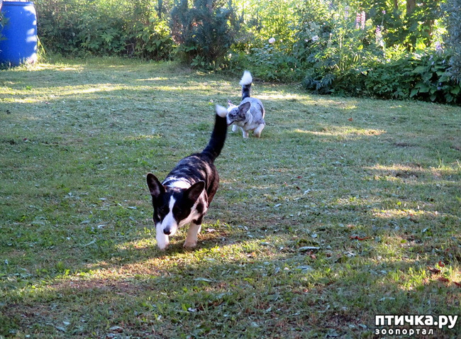 ���� 21: ��������� ����. �������, ����.