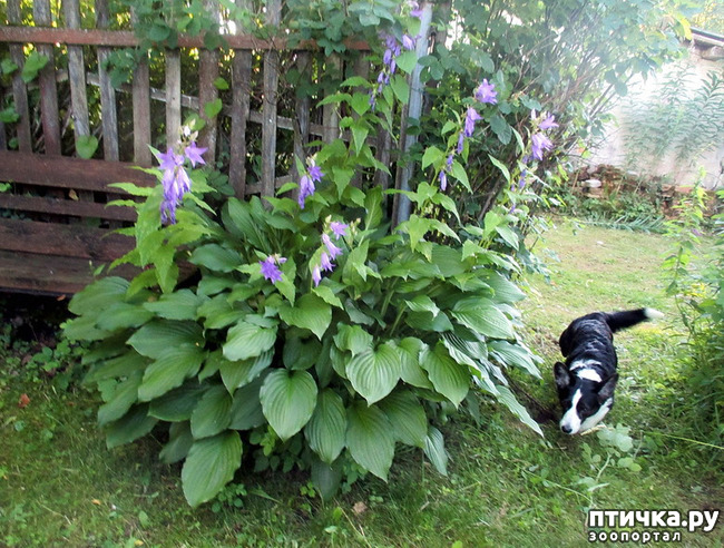 ���� 43: ��������� ����. �������, ����.