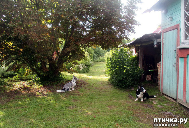 ���� 22: ��������� ����. �������, ����.