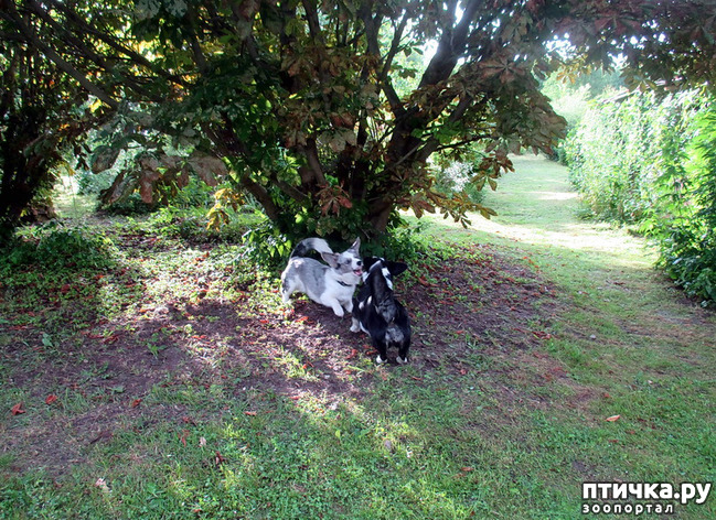 ���� 23: ��������� ����. �������, ����.