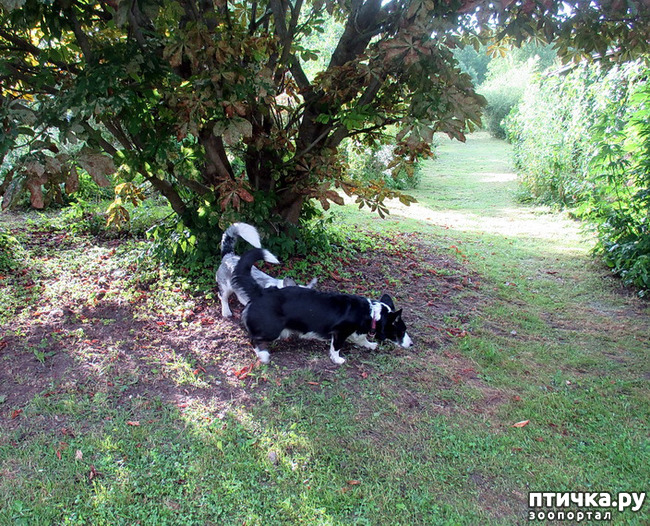 ���� 24: ��������� ����. �������, ����.