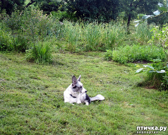 ���� 38: ��������� ����. �������, ����.