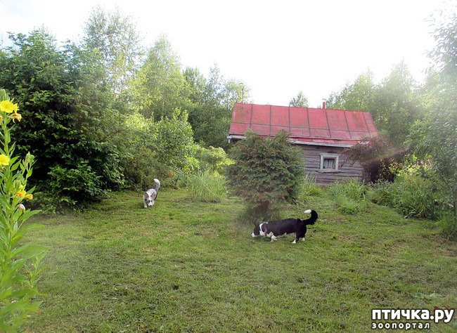 ���� 25: ��������� ����. �������, ����.