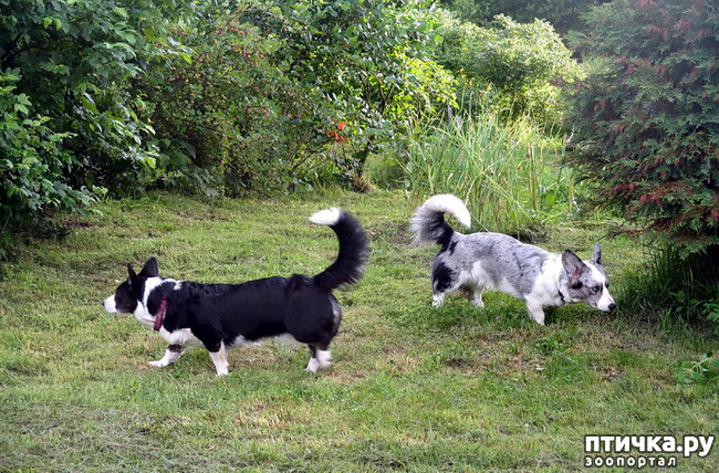 ���� 26: ��������� ����. �������, ����.