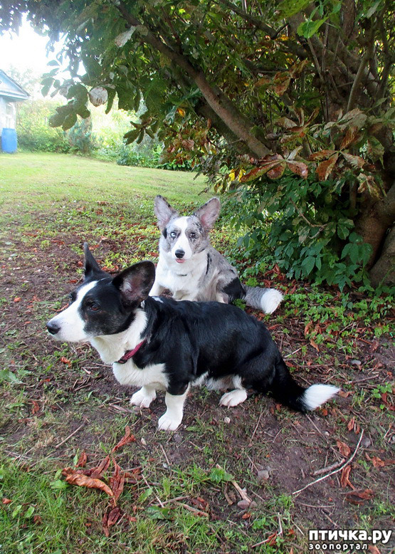 ���� 27: ��������� ����. �������, ����.