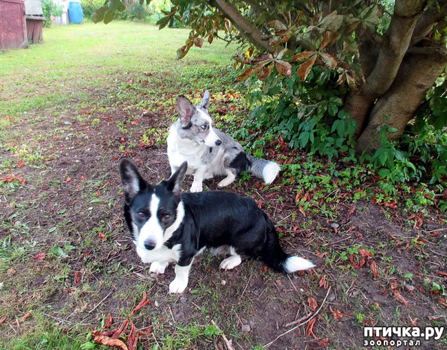 ���� 28: ��������� ����. �������, ����.