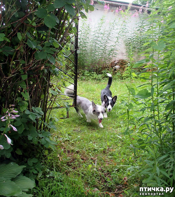 ���� 31: ��������� ����. �������, ����.