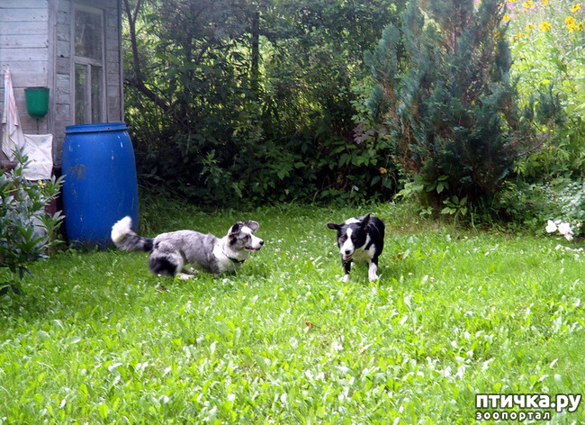 ���� 32: ��������� ����. �������, ����.