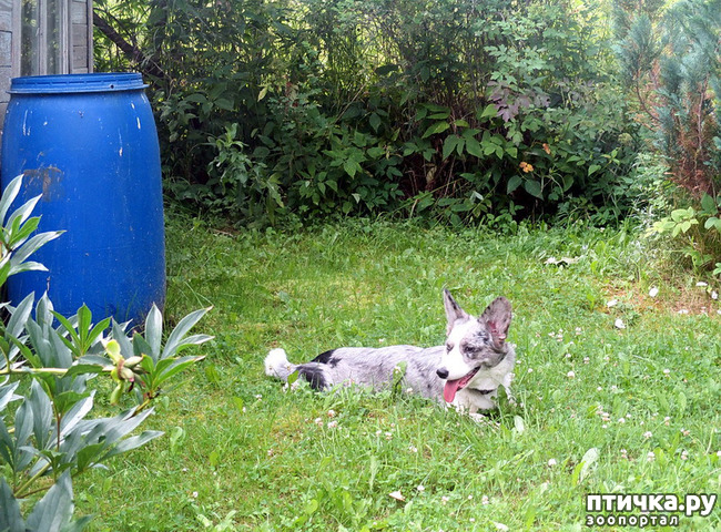 ���� 39: ��������� ����. �������, ����.