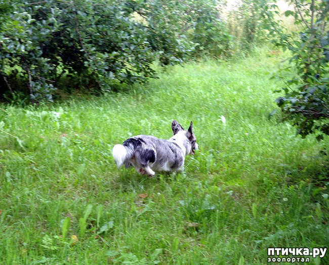 ���� 40: ��������� ����. �������, ����.