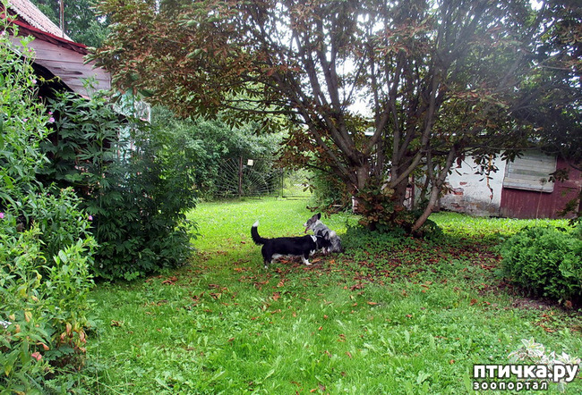 ���� 29: ��������� ����. �������, ����.