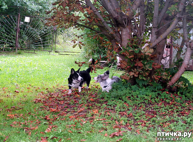 ���� 30: ��������� ����. �������, ����.