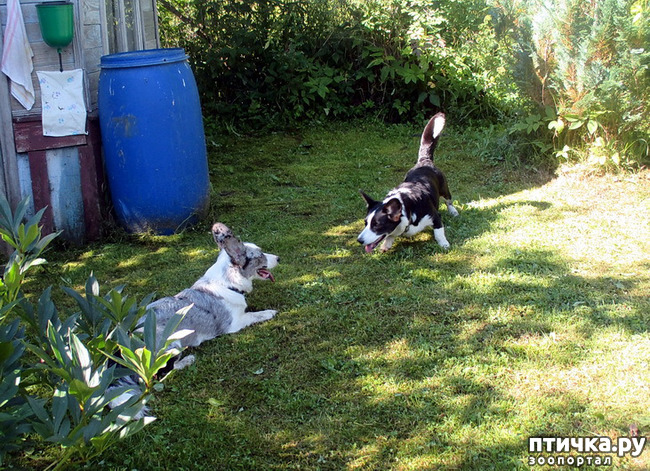 ���� 33: ��������� ����. �������, ����.