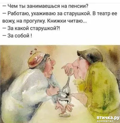  5:   (  )