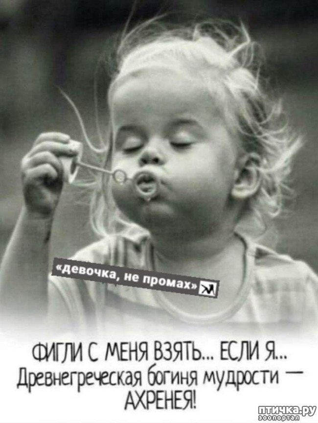  6:   (  )