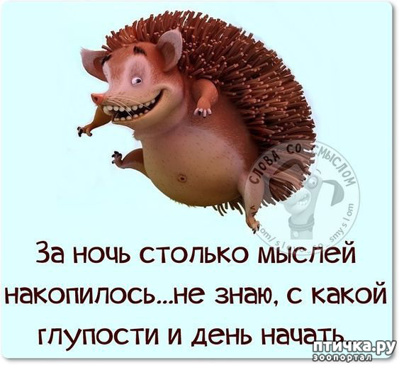  8:   (  )