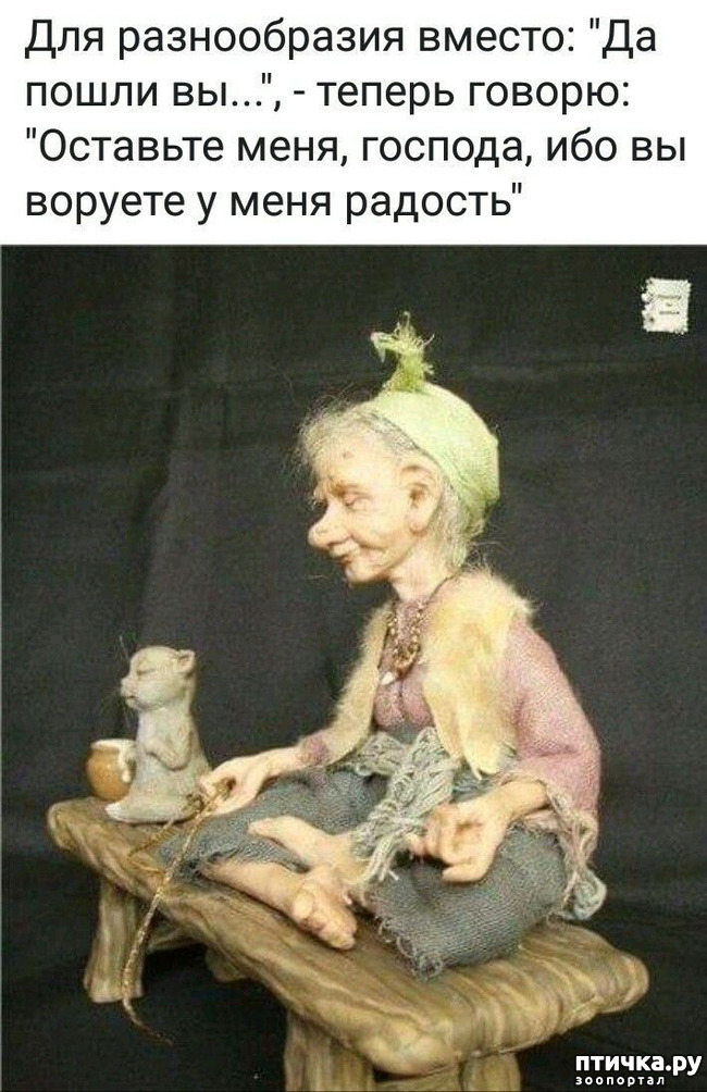  7:   (  )